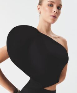 Alternative view of Top Leda