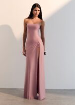 SAIA JANDAIA - Imagem 5