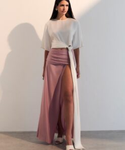 Alternative view of SAIA JANDAIA